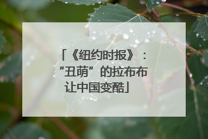 《纽约时报》：“丑萌”的拉布布让中国变酷