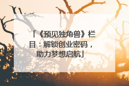 《预见独角兽》栏目：解锁创业密码，助力梦想启航