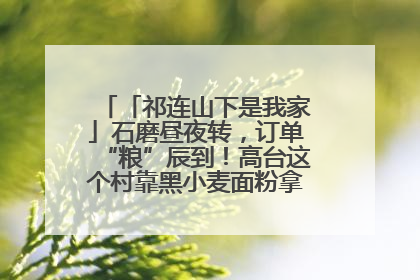 「祁连山下是我家」石磨昼夜转，订单“粮”辰到！高台这个村靠黑小麦面粉拿下成立来最大订单