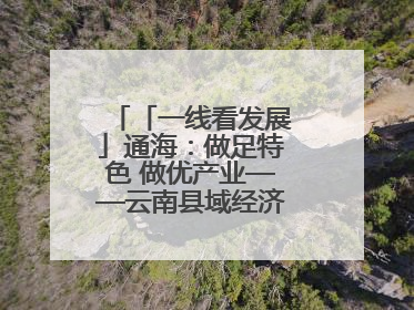 「一线看发展」通海：做足特色 做优产业——云南县域经济样本观察之二