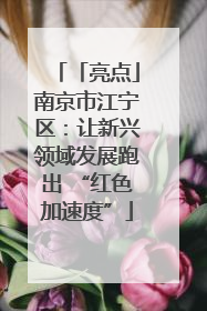 「亮点」南京市江宁区：让新兴领域发展跑出 “红色加速度”