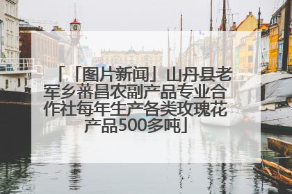 「图片新闻」山丹县老军乡蕃昌农副产品专业合作社每年生产各类玫瑰花产品500多吨