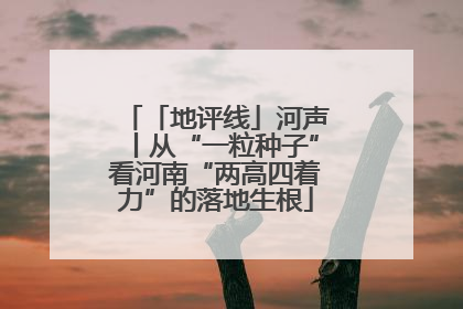 「地评线」河声丨从“一粒种子”看河南“两高四着力”的落地生根