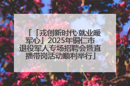 「戎创新时代·就业暖军心」2025年铜仁市退役军人专场招聘会暨直播带岗活动顺利举行