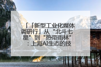 「新型工业化媒体调研行」从“北斗七星”到“热带雨林”：上海AI生态的技术商业共生密码