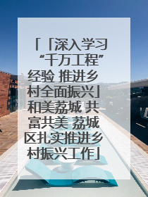 「深入学习“千万工程”经验 推进乡村全面振兴」和美荔城 共富共美 荔城区扎实推进乡村振兴工作