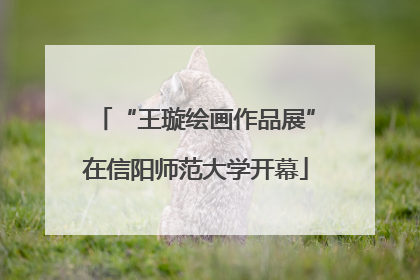 “王璇绘画作品展”在信阳师范大学开幕