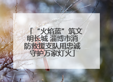 “火焰蓝”筑文明长城 淄博市消防救援支队用忠诚守护万家灯火