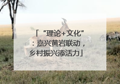 “理论+文化”：嘉兴黄岩联动，乡村振兴添活力