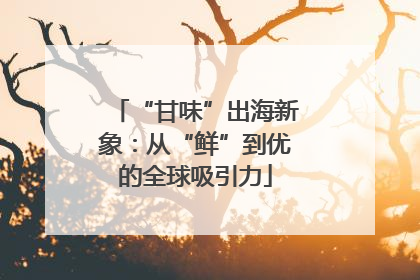 “甘味”出海新象：从“鲜”到优的全球吸引力