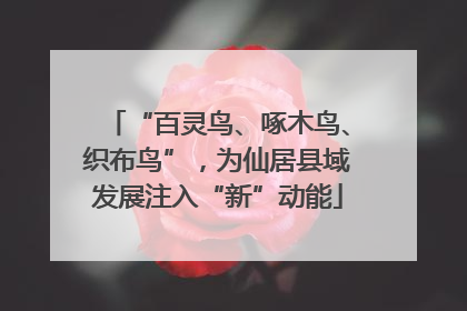 “百灵鸟、啄木鸟、织布鸟”，为仙居县域发展注入“新”动能