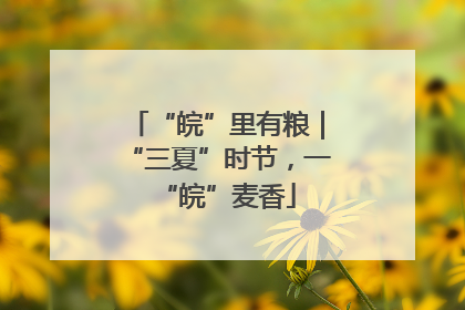 “皖”里有粮｜“三夏”时节，一“皖”麦香