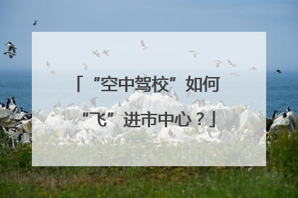 “空中驾校”如何“飞”进市中心？