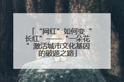“网红”如何变“长红”——“一朵花”激活城市文化基因的破题之路