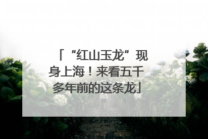 “红山玉龙”现身上海！来看五千多年前的这条龙