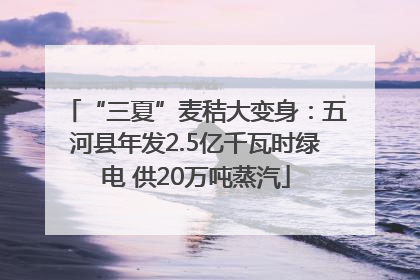 “三夏”麦秸大变身：五河县年发2.5亿千瓦时绿电 供20万吨蒸汽