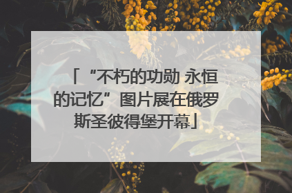 “不朽的功勋 永恒的记忆”图片展在俄罗斯圣彼得堡开幕