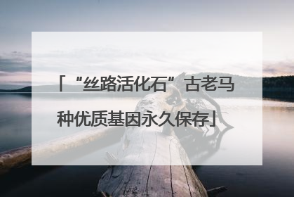 “丝路活化石”古老马种优质基因永久保存