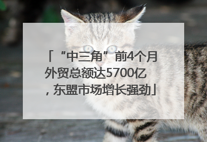 “中三角”前4个月外贸总额达5700亿，东盟市场增长强劲