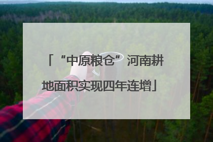 “中原粮仓”河南耕地面积实现四年连增