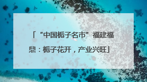 “中国栀子名市”福建福鼎：栀子花开，产业兴旺