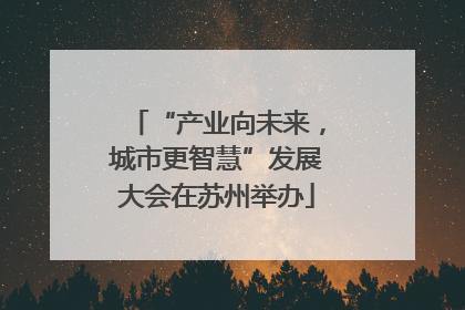 “产业向未来，城市更智慧”发展大会在苏州举办