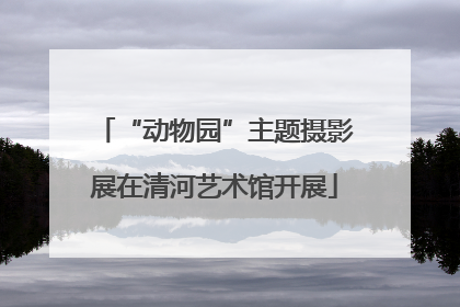 “动物园”主题摄影展在清河艺术馆开展