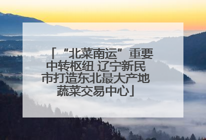 “北菜南运”重要中转枢纽 辽宁新民市打造东北最大产地蔬菜交易中心