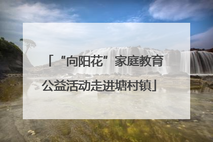 “向阳花”家庭教育公益活动走进塘村镇