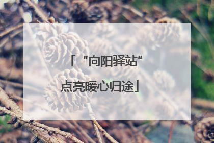 “向阳驿站”点亮暖心归途
