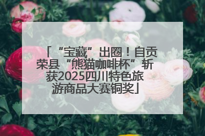 “宝藏”出圈！自贡荣县“熊猫咖啡杯”斩获2025四川特色旅游商品大赛铜奖