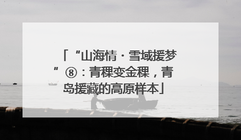“山海情・雪域援梦”⑧：青稞变金稞，青岛援藏的高原样本