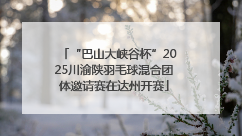 “巴山大峡谷杯”2025川渝陕羽毛球混合团体邀请赛在达州开赛