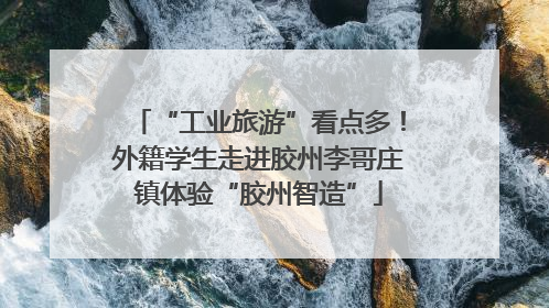 “工业旅游”看点多！外籍学生走进胶州李哥庄镇体验“胶州智造”