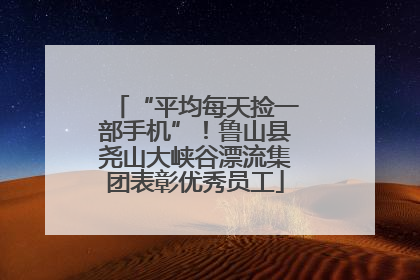 “平均每天捡一部手机”！鲁山县尧山大峡谷漂流集团表彰优秀员工