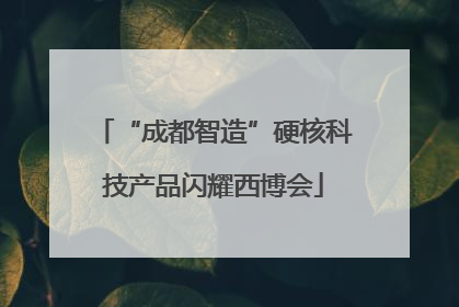 “成都智造”硬核科技产品闪耀西博会