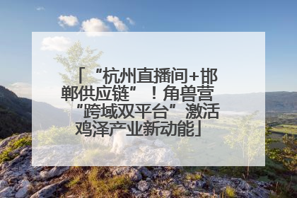 “杭州直播间+邯郸供应链”！角兽营“跨域双平台”激活鸡泽产业新动能