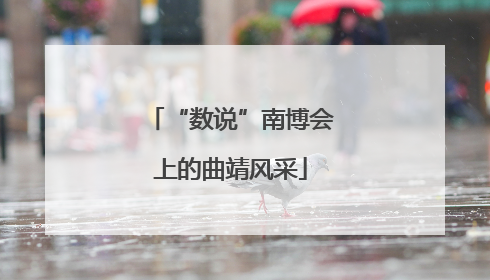 “数说”南博会上的曲靖风采