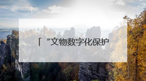 “文物数字化保护战略”写入法规，守护文明需担当