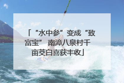 “水中参”变成“致富宝” 南漳八泉村千亩茭白喜获丰收