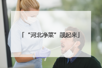 “河北净菜”靓起来