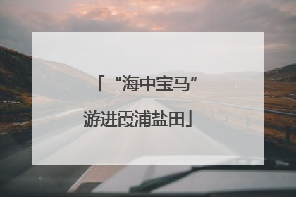 “海中宝马”游进霞浦盐田