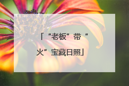 “老板”带“火”宝藏日照