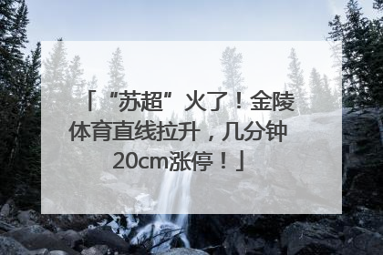 “苏超”火了！金陵体育直线拉升，几分钟20cm涨停！