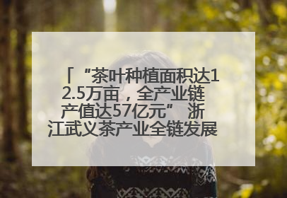 “茶叶种植面积达12.5万亩，全产业链产值达57亿元” 浙江武义茶产业全链发展“加速度”