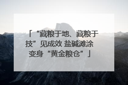 “藏粮于地、藏粮于技”见成效 盐碱滩涂变身“黄金粮仓”