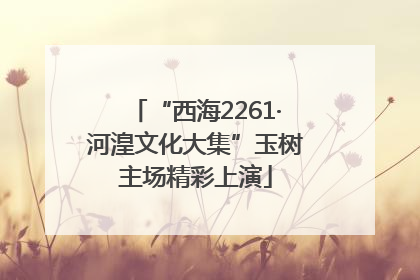 “西海2261·河湟文化大集”玉树主场精彩上演