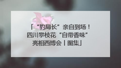 “豹局长”亲自到场！四川攀枝花“自带香味”亮相西博会丨图集