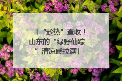 “趁热”查收！山东的“绿野仙踪”清凉感拉满