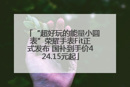 “超好玩的能量小圆表”荣耀手表Fit正式发布 国补到手价424.15元起